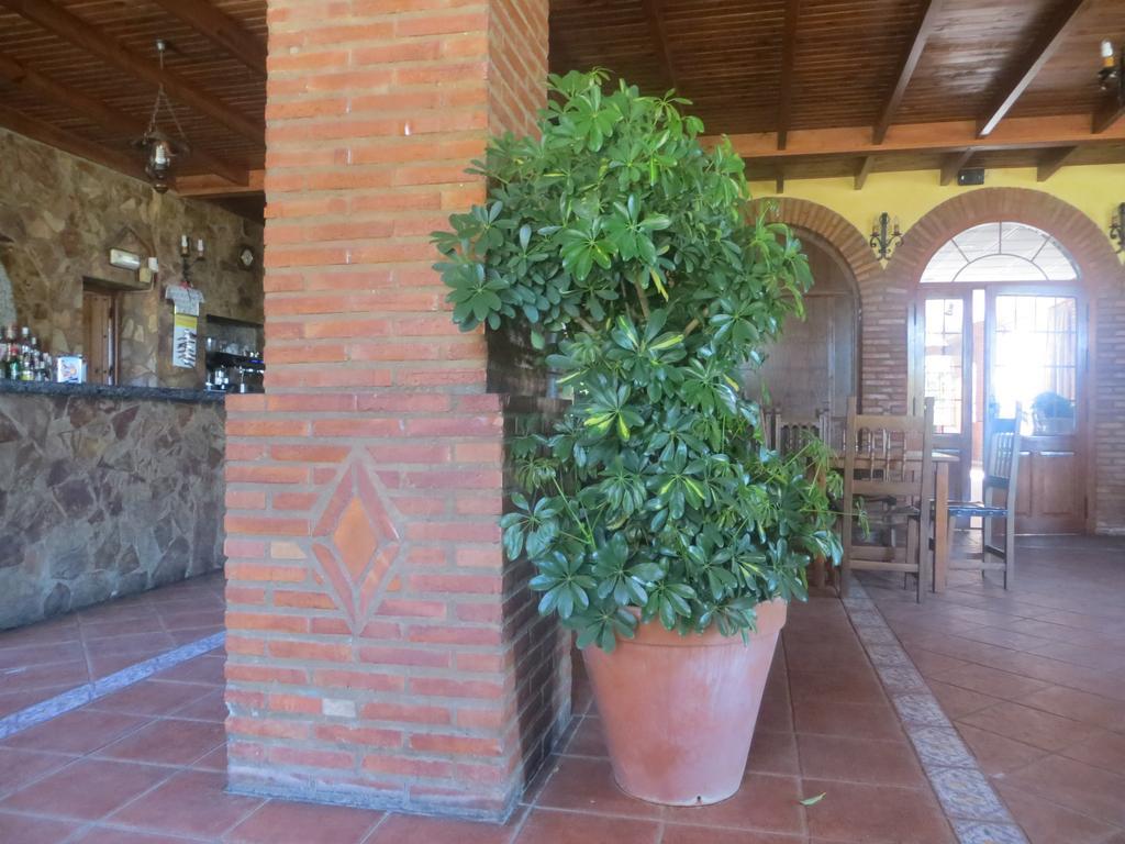 Hostal Rest. Campoabierto Valencia de las Torres Eksteriør billede